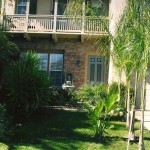 Front Yard and Driveway